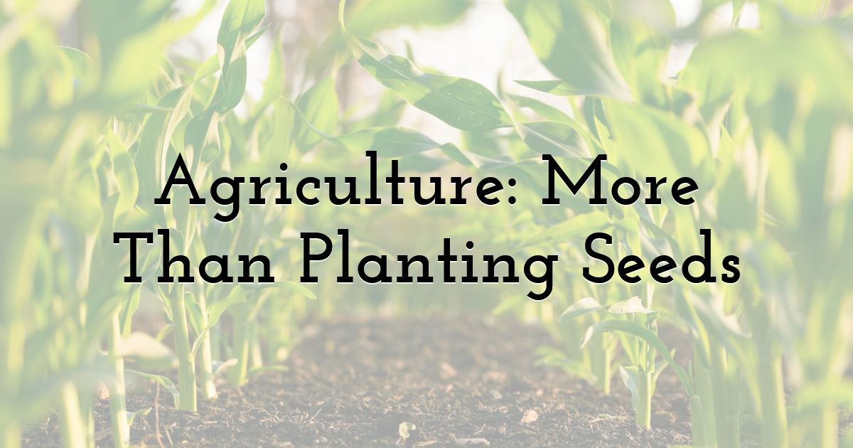 Agriculture: More Than Planting Seeds