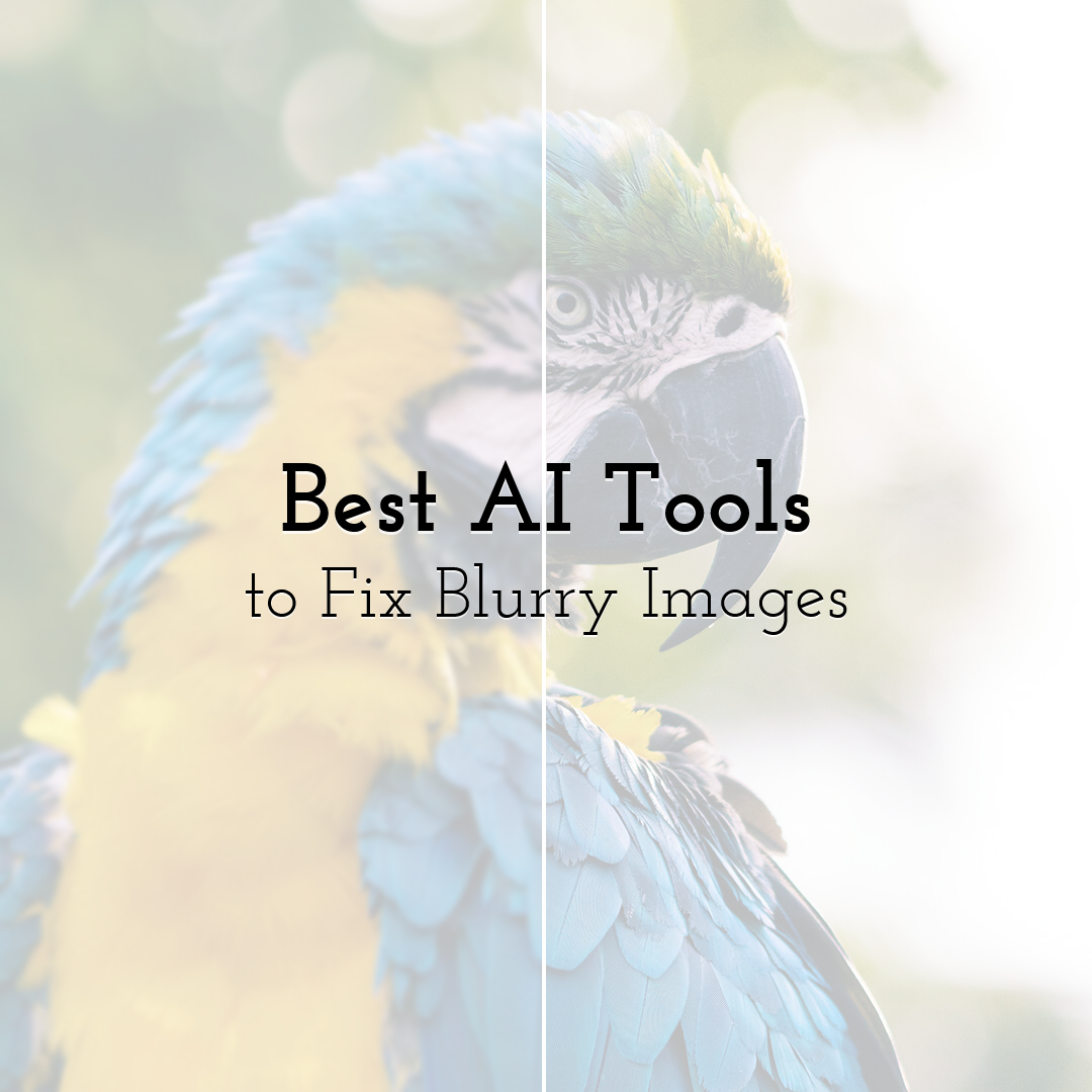 Best AI Tools to Fix Blurry Images