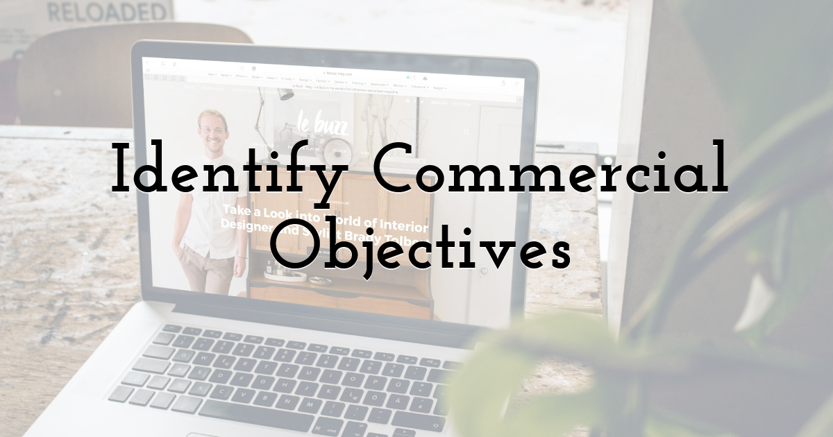 Identify Commercial Objectives