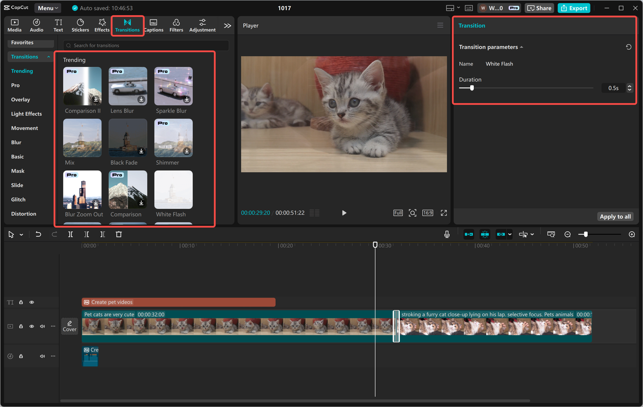 Step 8: Insert Motion and Transitions