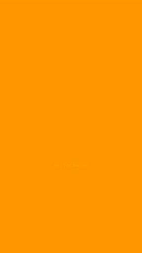 Orange Modern Photography Art & Editable Logo