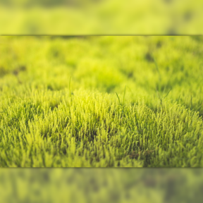 Profile #image #avatar